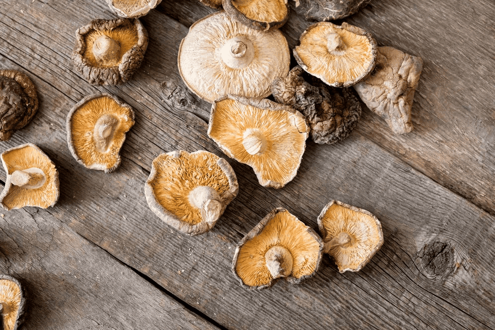 Verticale voedseldrogers